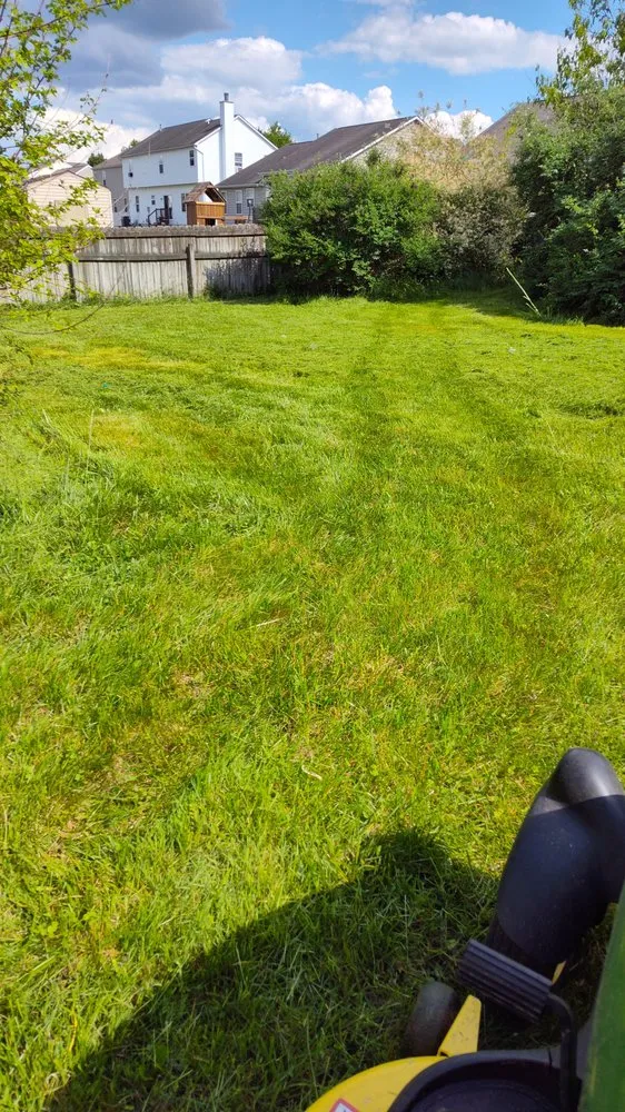 Expert lawn care service for outdoor upgrades in Columbus, OH by Centsational Management
