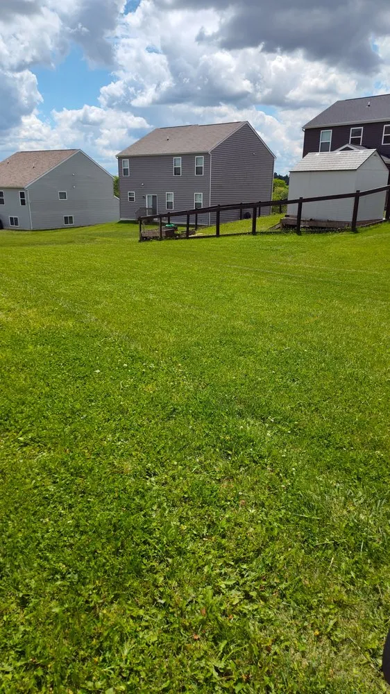 Reliable outdoor landscaping near you across Columbus, OH - Centsational Management