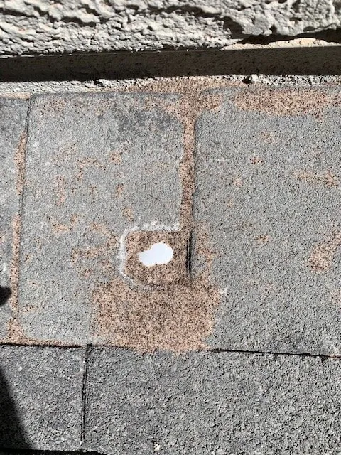 Expert landscape design for year-round maintenance in Las Vegas, NV by Centuries Landscape