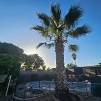 Expert outdoor landscaping in Tucson, AZ - Centurion Landscaping