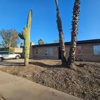 Expert lawn care service in Tucson, AZ - Centurion Landscaping