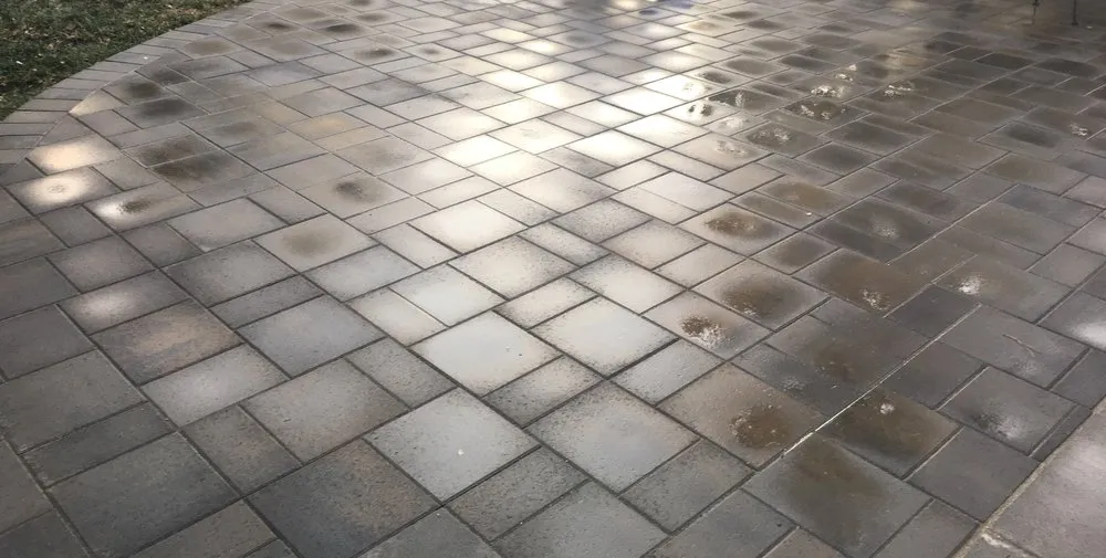 Trusted yard maintenance experts serving Reno, NV - Century Landscapes