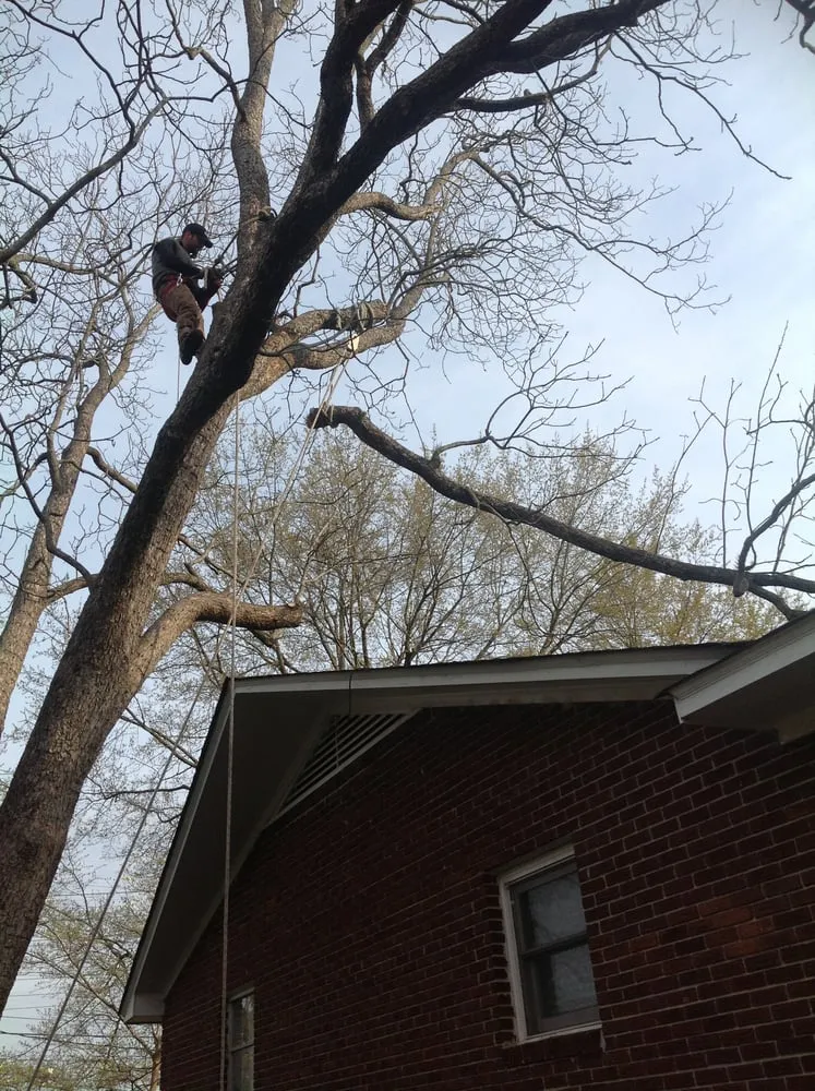 Trusted landscape installation experts serving Seneca, SC - Century Landscaping