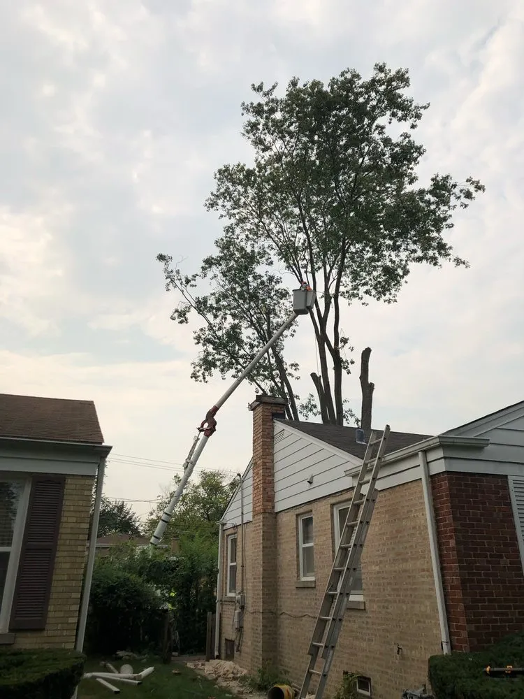 Professional landscape design in Skokie, IL by Century Lawn Care Co