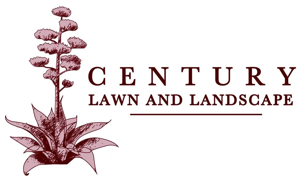 Custom landscape installation for outdoor upgrades in Austin, TX by Century Outdoor Services