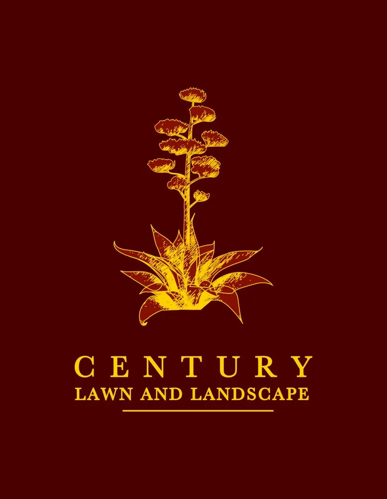 Expert landscape design in Austin, TX - Century Outdoor Services