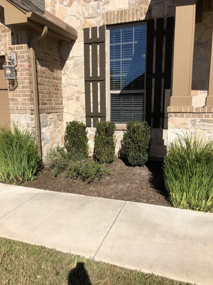 Affordable yard cleanup service in Austin, TX by Century Outdoor Services