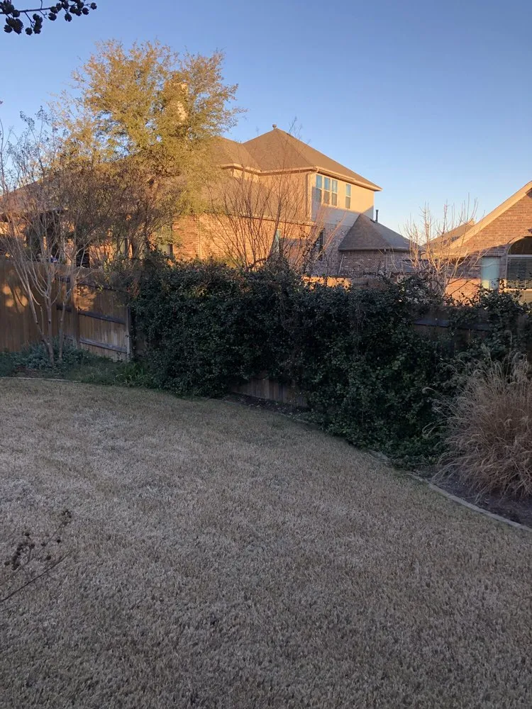 Local outdoor landscaping in Austin, TX by Century Outdoor Services