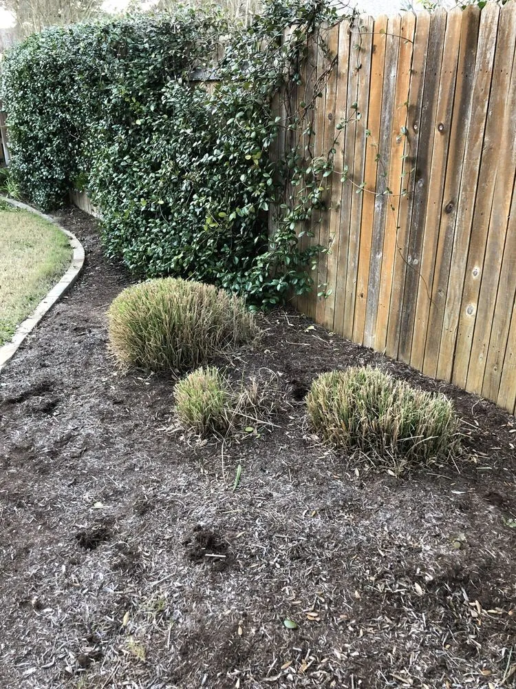 Top-rated outdoor landscaping experts serving Austin, TX - Century Outdoor Services