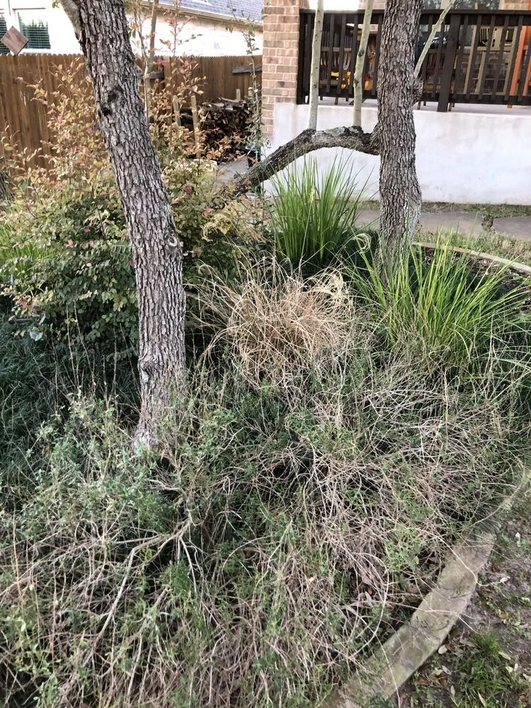 Reliable lawn care service experts serving Austin, TX - Century Outdoor Services