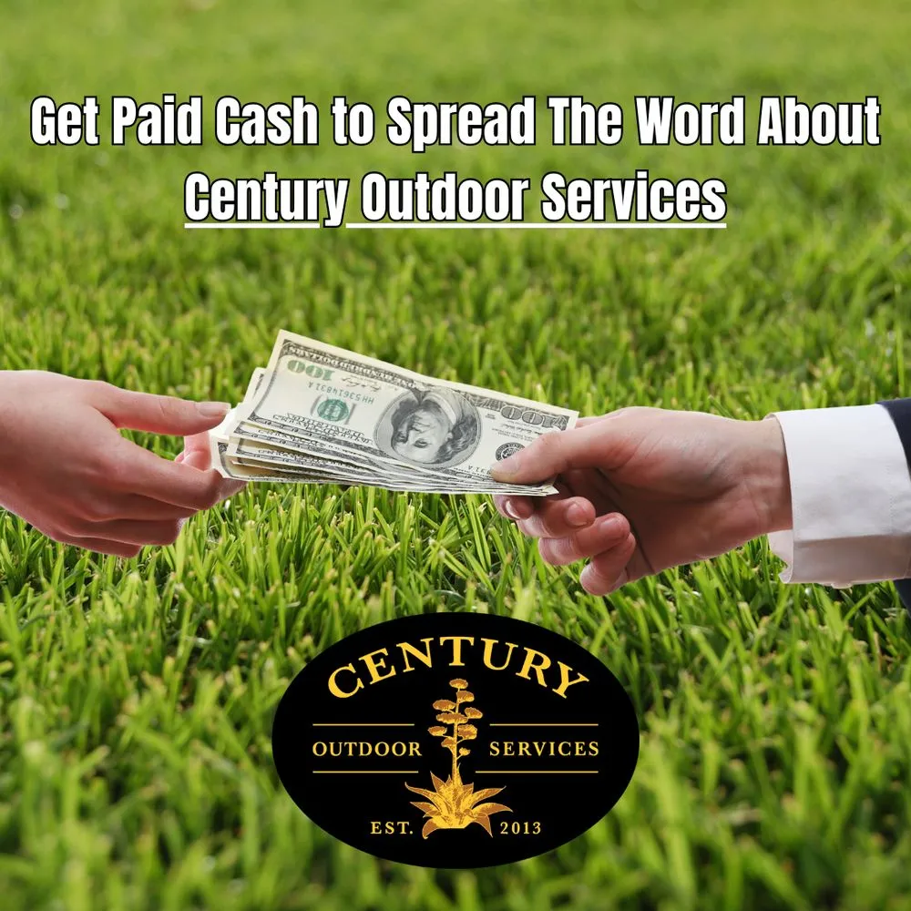 Reliable yard cleanup service in Austin, TX by Century Outdoor Services