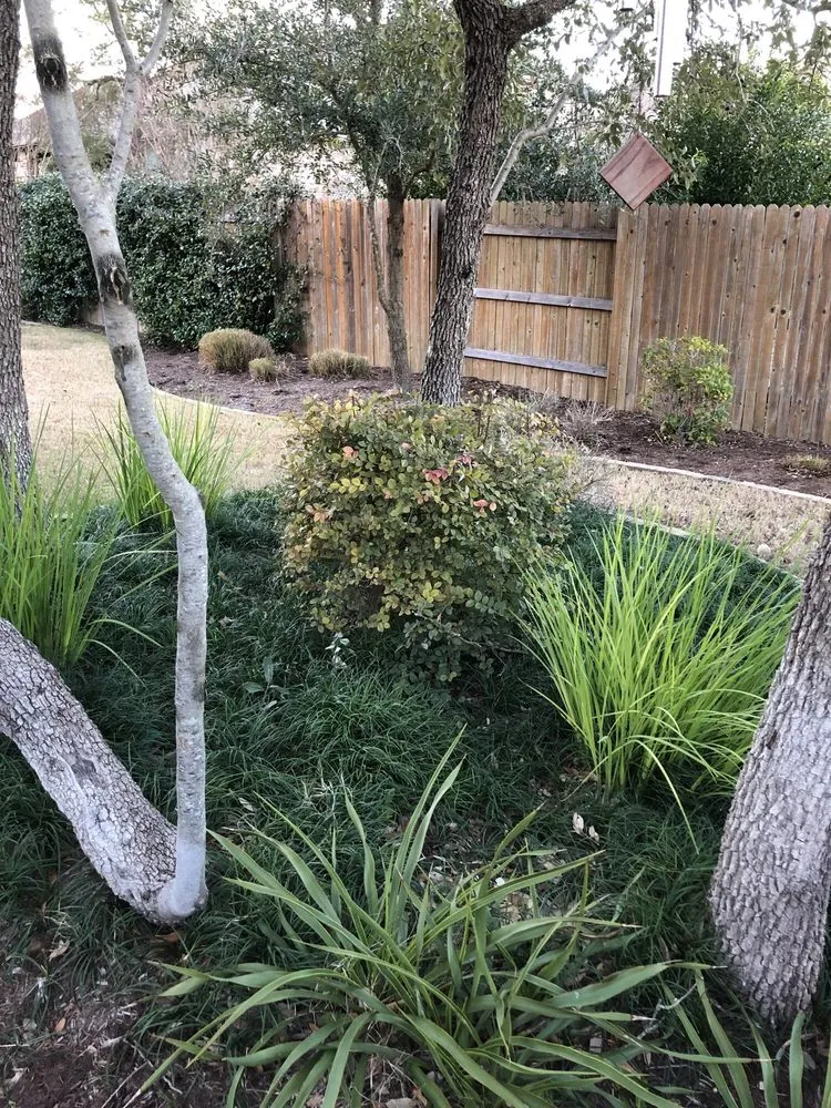 Local yard cleanup service near you across Austin, TX - Century Outdoor Services