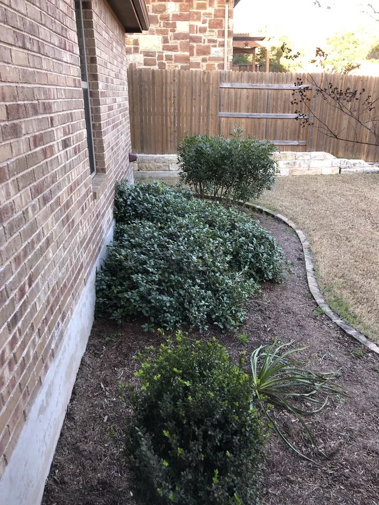 Professional garden landscaping in Austin, TX - Century Outdoor Services