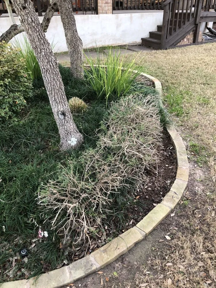 Top-rated yard maintenance near you in Austin, TX by Century Outdoor Services