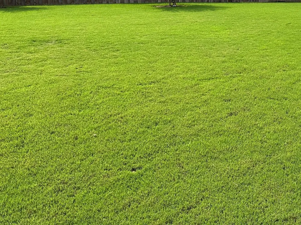 Professional yard maintenance for outdoor upgrades in Austin, TX by Century Outdoor Services