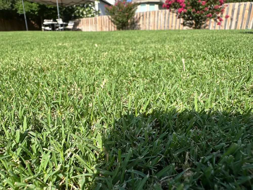 Custom residential landscaping experts serving Austin, TX - Century Outdoor Services