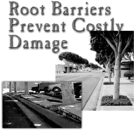 Reliable lawn mowing service in Anaheim, CA - Century Products