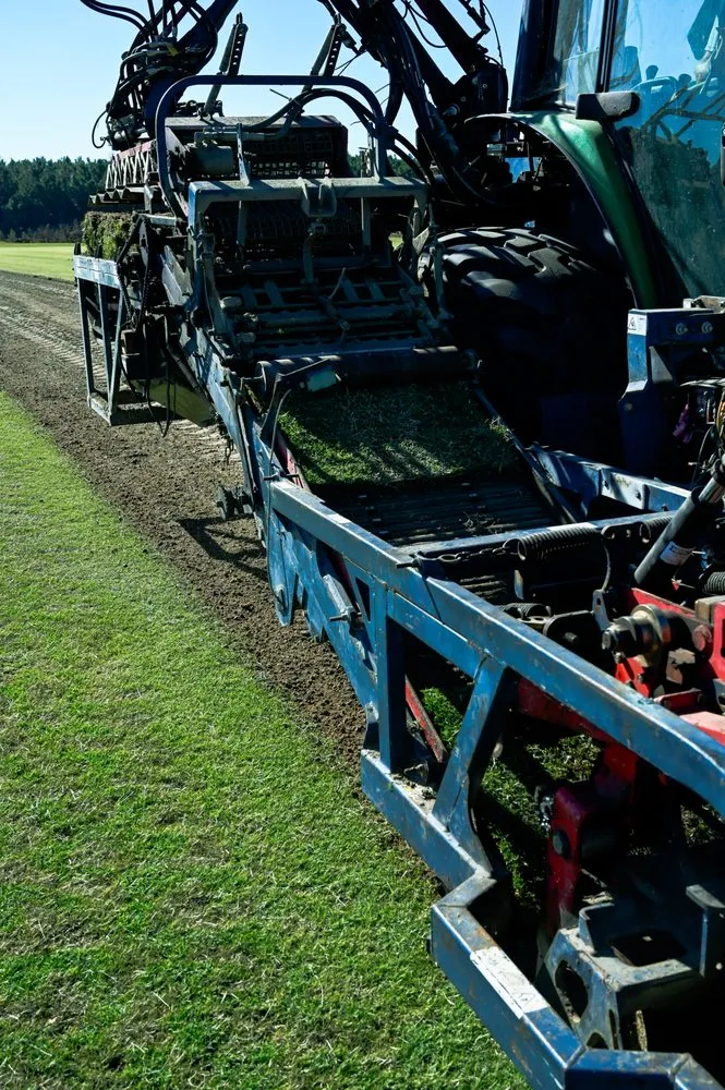 Top-rated yard cleanup service in Tarrytown, GA by Century Sod