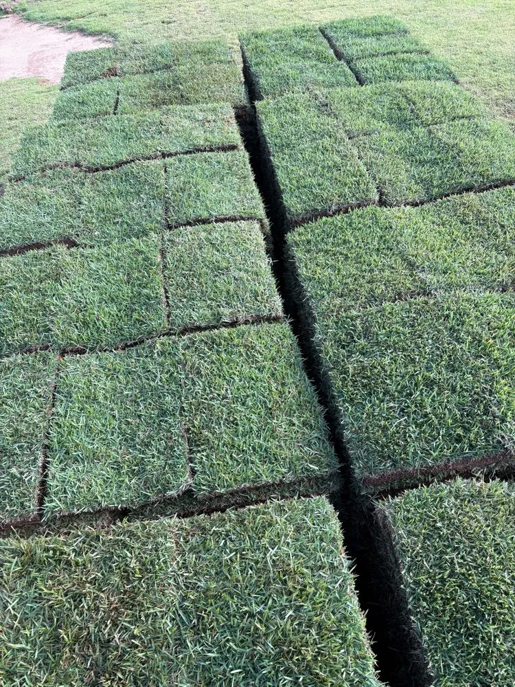 Reliable yard maintenance for homes in Tarrytown, GA by Century Sod