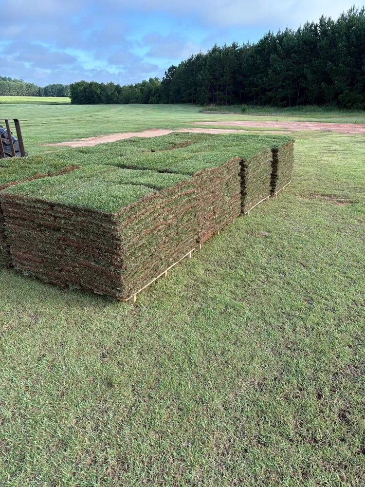 Professional residential landscaping in Tarrytown, GA - Century Sod