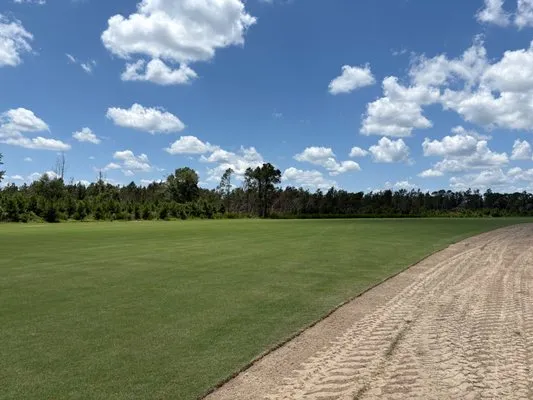 Century Sod