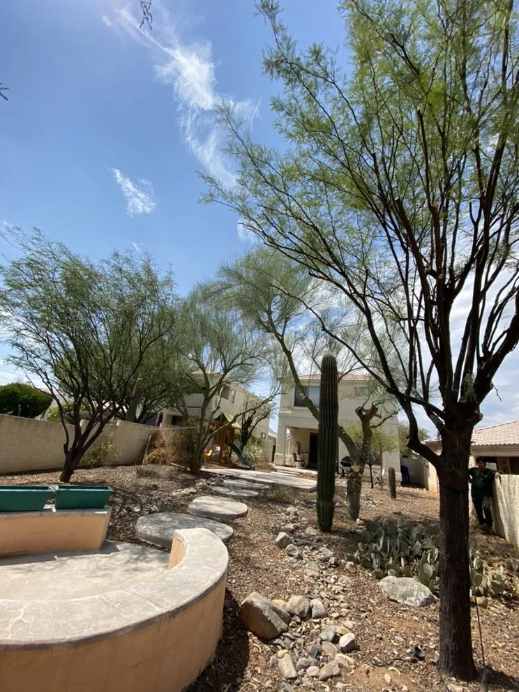 Professional yard cleanup service experts serving Phoenix, AZ - Century West Landscaping