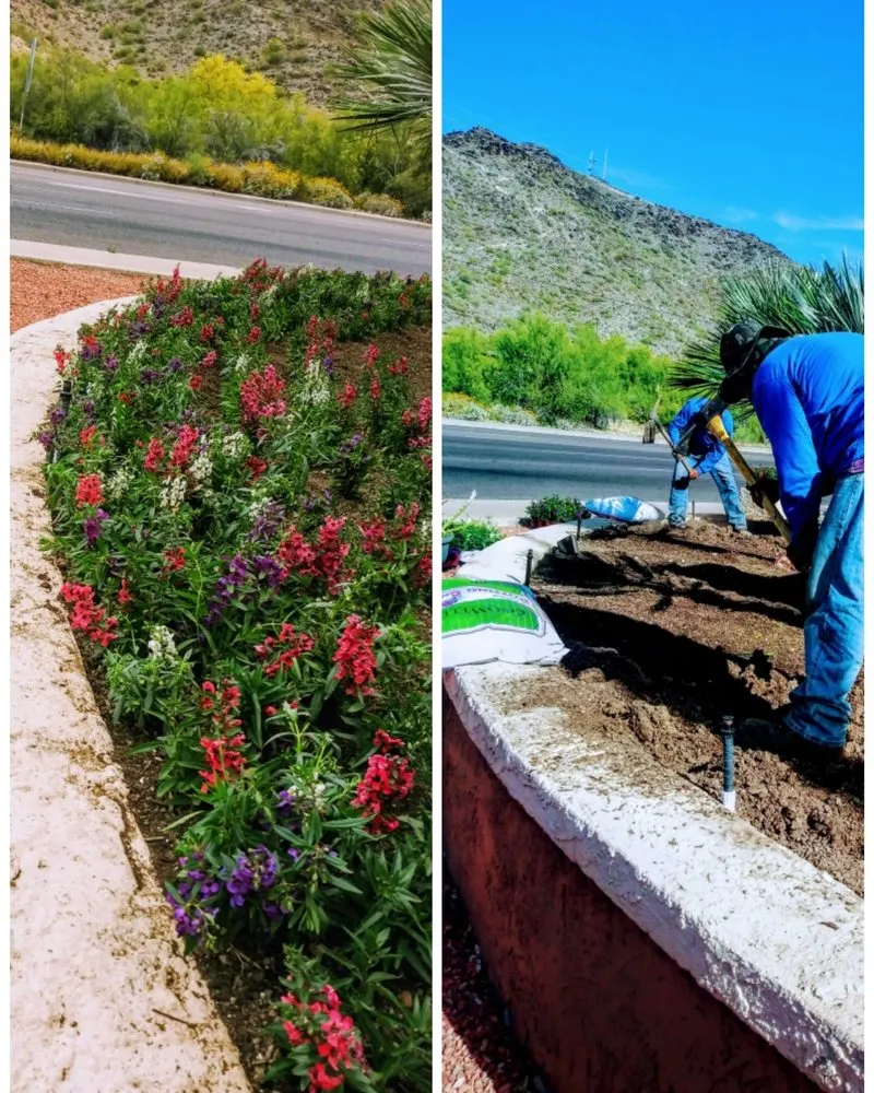 Custom landscape installation experts serving Phoenix, AZ - Century West Landscaping