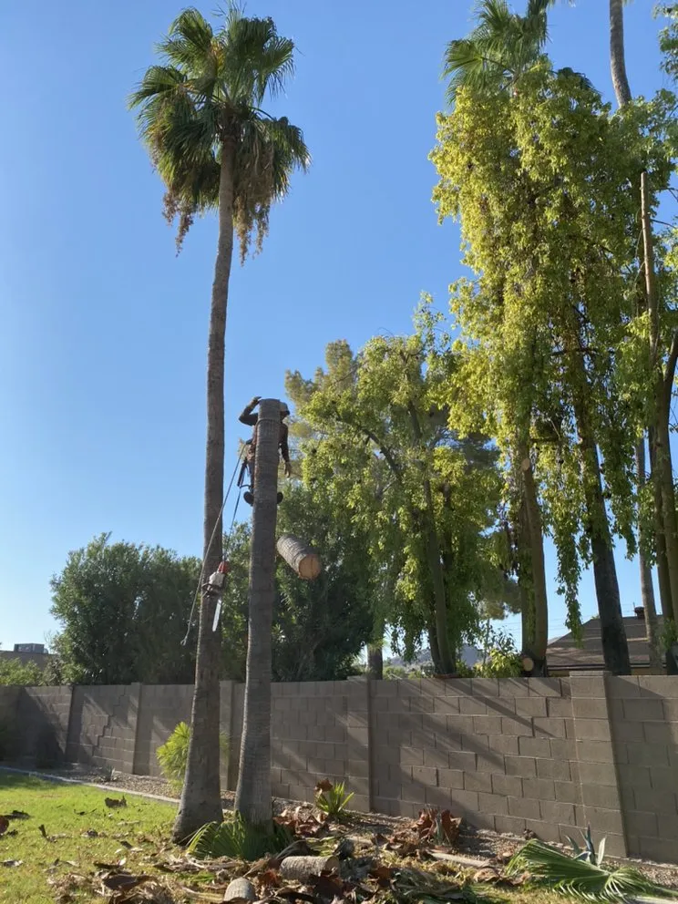 Custom landscape design in Phoenix, AZ by Century West Landscaping