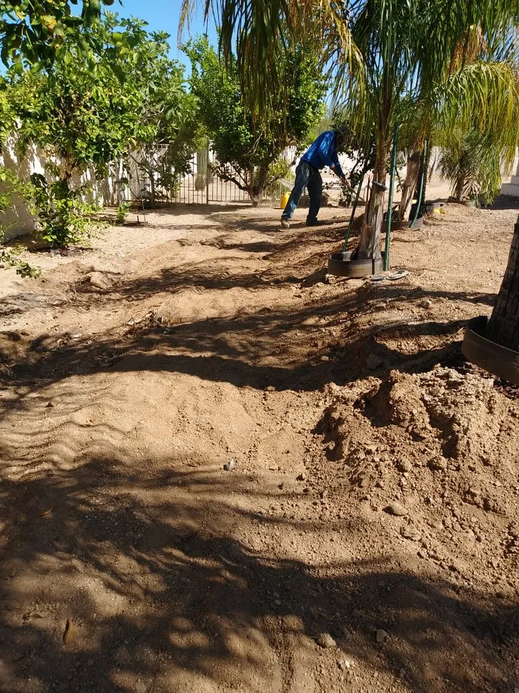 Local outdoor landscaping for outdoor upgrades across Phoenix, AZ - Century West Landscaping