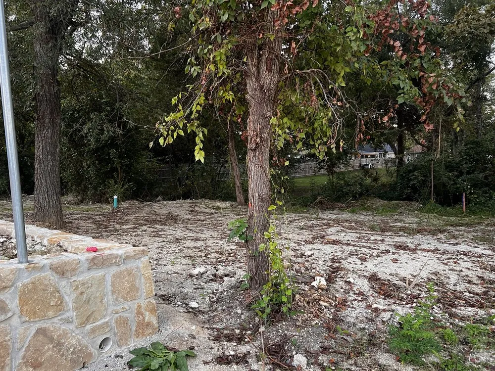 Affordable lawn care service in Mesquite, TX by CEO Construction