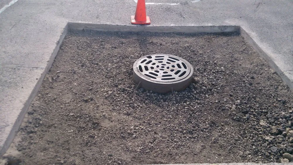 Custom landscape installation in Crete, IL by CEO Enterprises