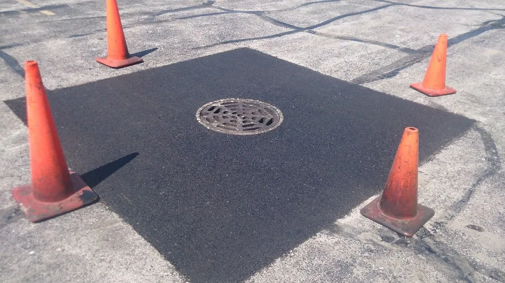 Reliable yard cleanup service in Crete, IL - CEO Enterprises