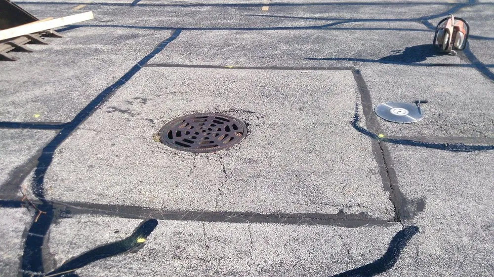 Expert yard cleanup service for beautiful yards across Crete, IL - CEO Enterprises