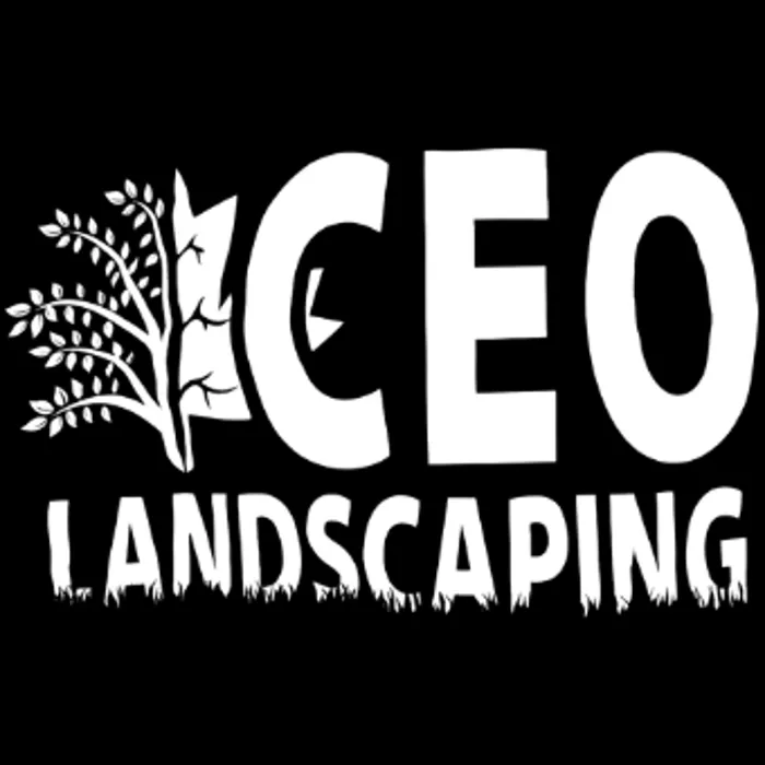 Expert landscape installation in Mt Pleasant, WI by CEO Landscaping