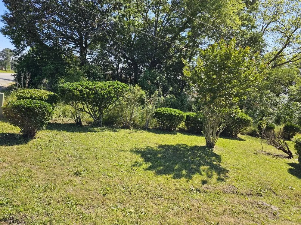 Professional yard cleanup service for homes across Tifton, GA - CEO Lawn Service