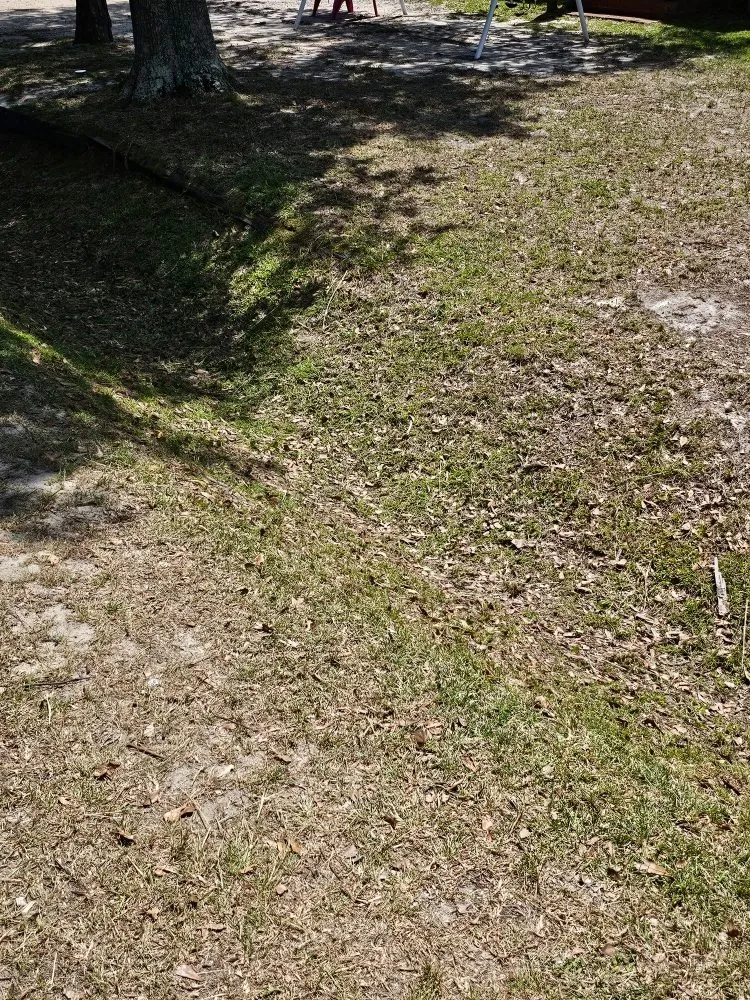 Custom yard cleanup service in Tifton, GA - CEO Lawn Service