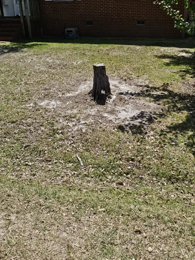 Expert outdoor landscaping in Tifton, GA - CEO Lawn Service