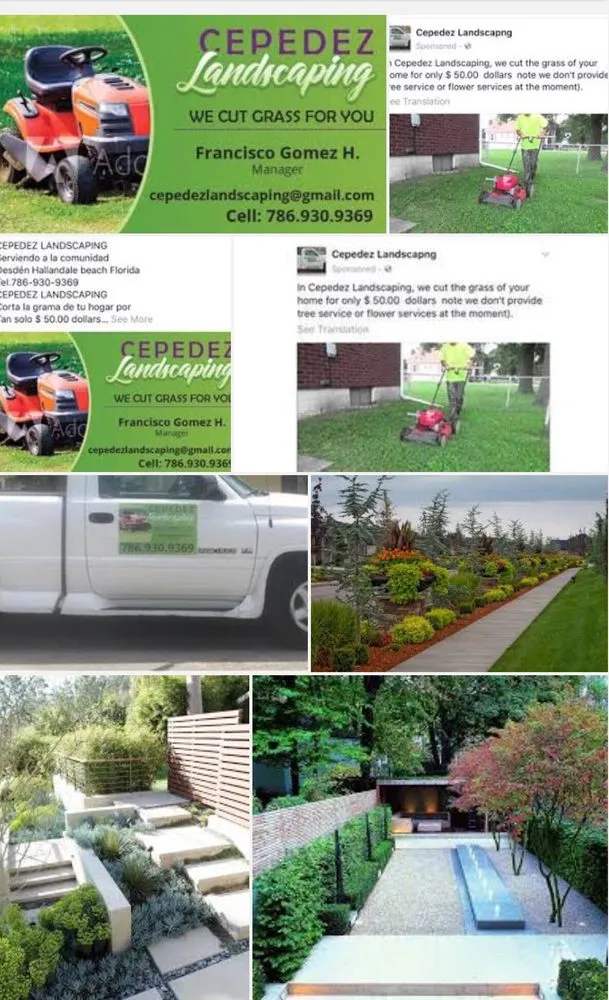 Custom yard cleanup service experts serving Hallandale Beach, FL - Cepedez Landscaping