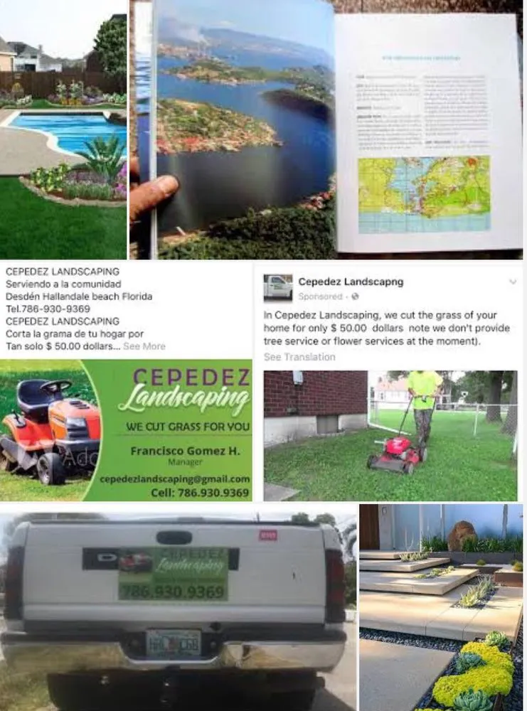 Reliable residential landscaping experts serving Hallandale Beach, FL - Cepedez Landscaping