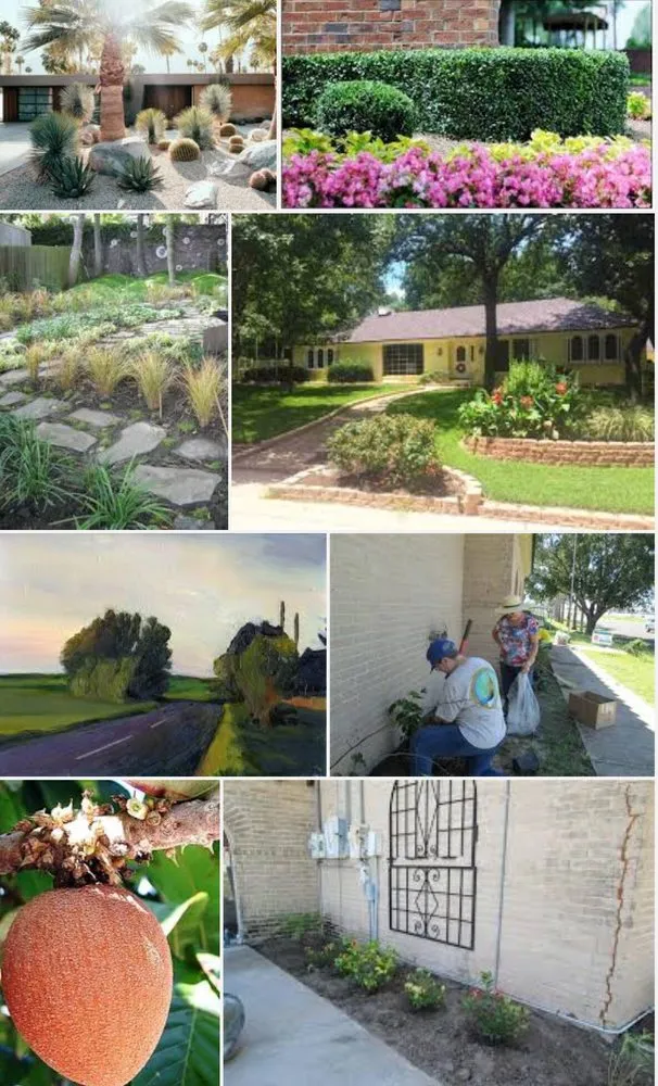 Top-rated outdoor landscaping for homes across Hallandale Beach, FL - Cepedez Landscaping