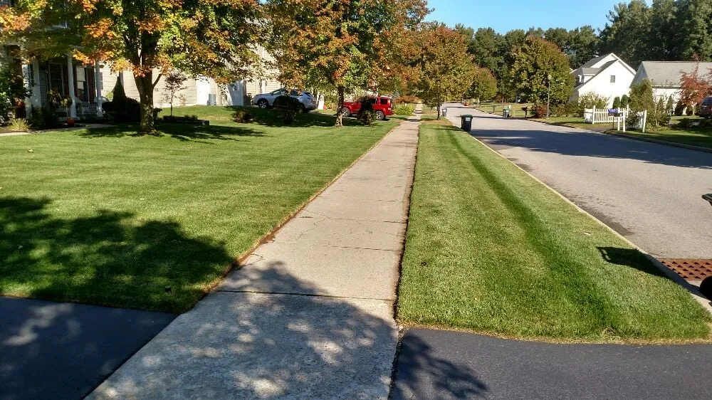Custom yard cleanup service in Saratoga Springs, NY by CER Landscaping
