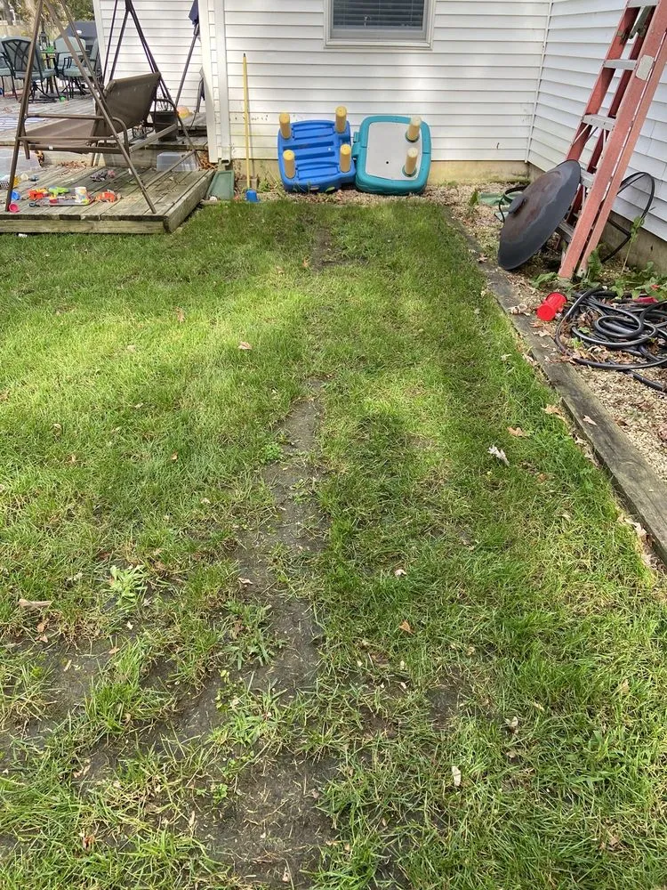 Local yard cleanup service experts serving Toms River, NJ - Cerami Lawns