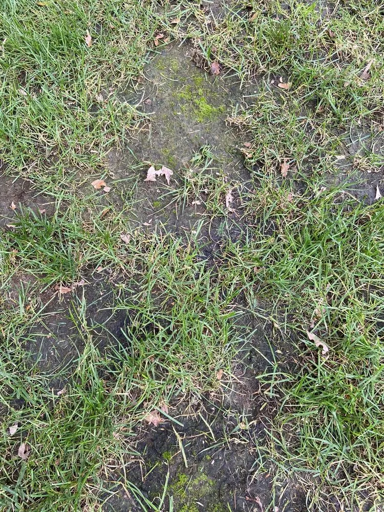 Affordable landscaping services for homes across Toms River, NJ - Cerami Lawns