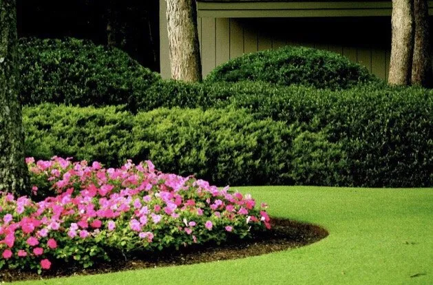Trusted landscaping services experts serving Toms River, NJ - Cerami Lawns