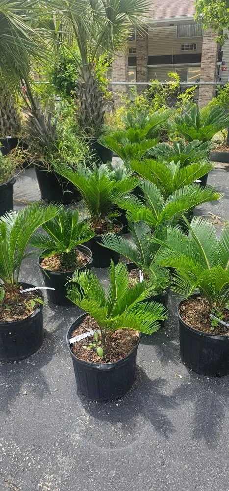 Affordable garden landscaping for outdoor upgrades across Osage Beach, MO - Cerbero Landscaping & Clearing