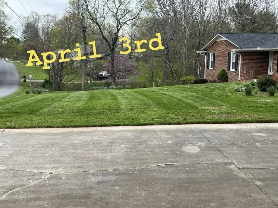 Affordable yard maintenance in Wilkesboro, NC by Cerberus