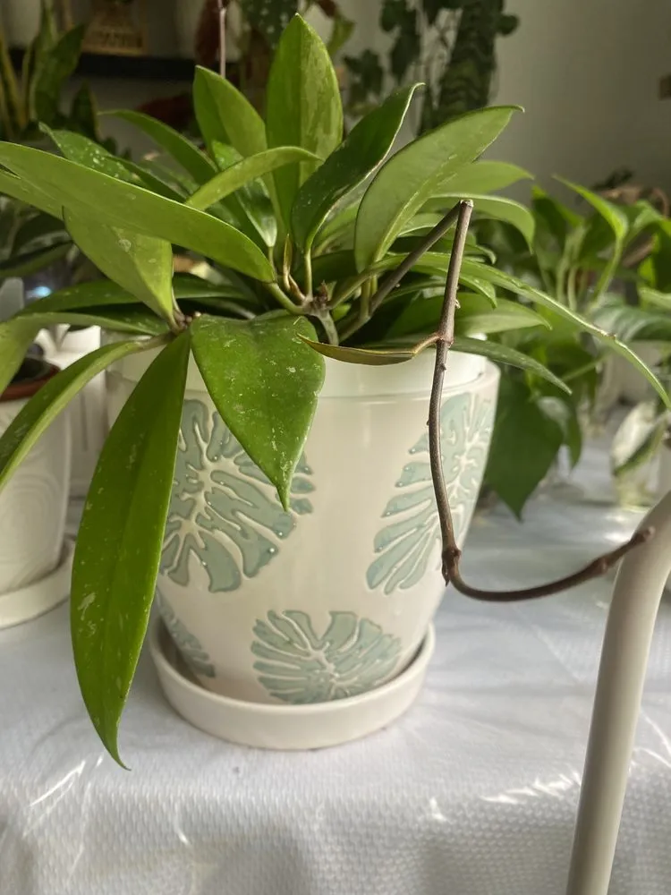 Trusted landscape installation in Parsippany, NJ by Cerbo's Parsippany Greenhouse