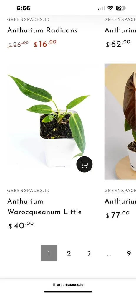 Professional landscape installation experts serving Parsippany, NJ - Cerbo's Parsippany Greenhouse