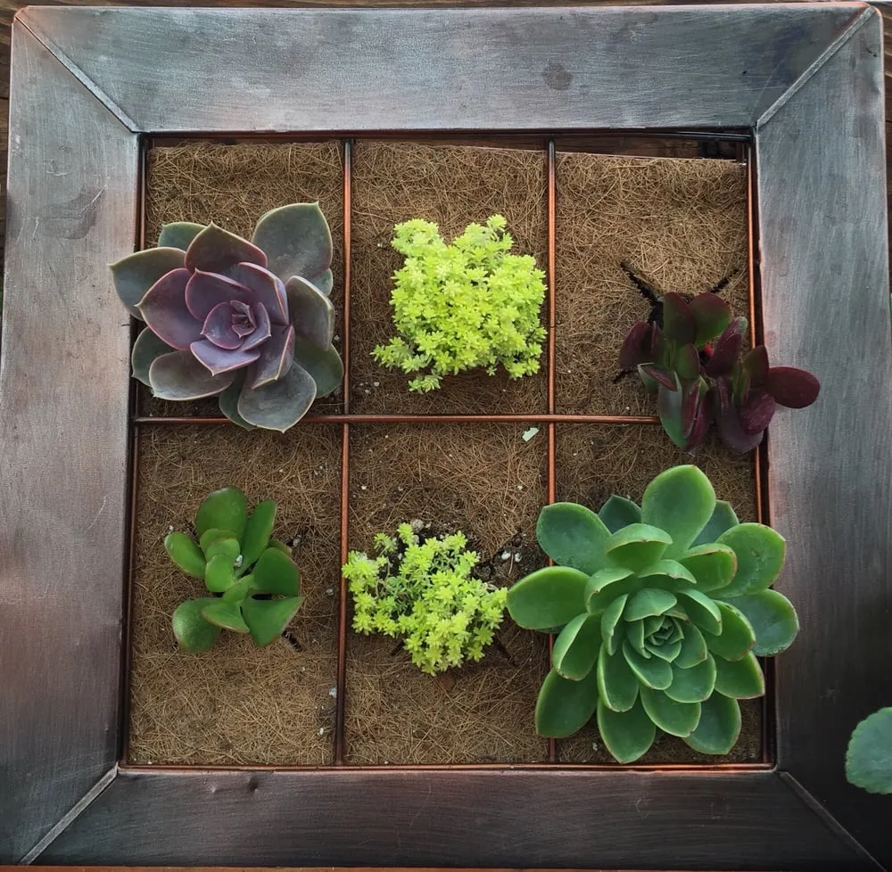 Professional yard cleanup service in Parsippany, NJ by Cerbo's Parsippany Greenhouse