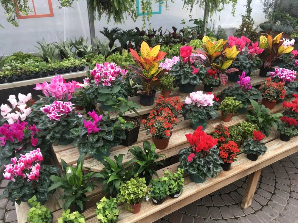 Professional yard maintenance in Parsippany, NJ by Cerbo's Parsippany Greenhouse